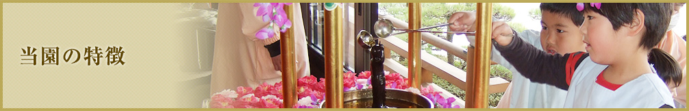 当園の特徴