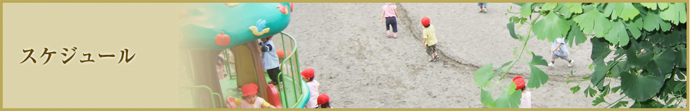スケジュール
