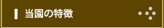 かつら愛児園の特徴